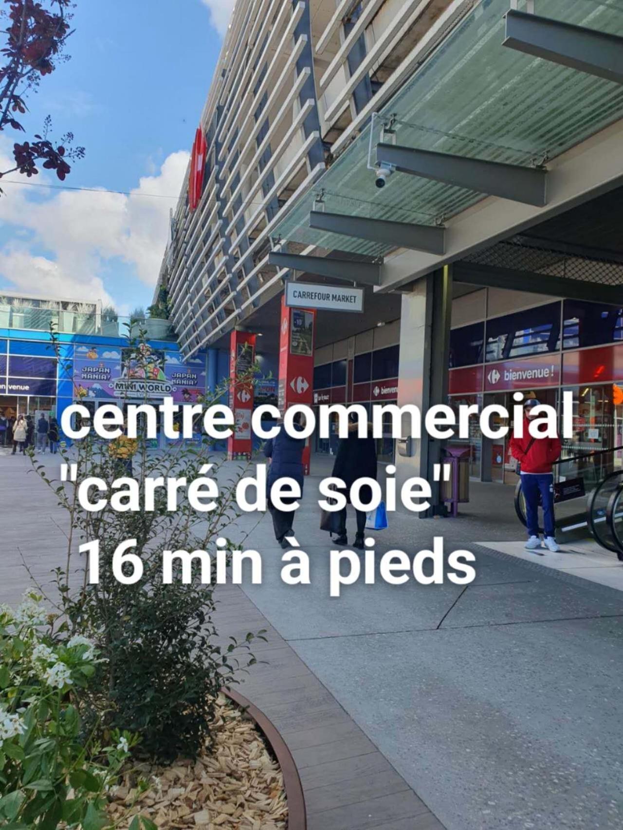 Medipole T2 Avec Un Garage Gratuit Sur Place, 16min A Centre Lyon En Metro A Appartement *