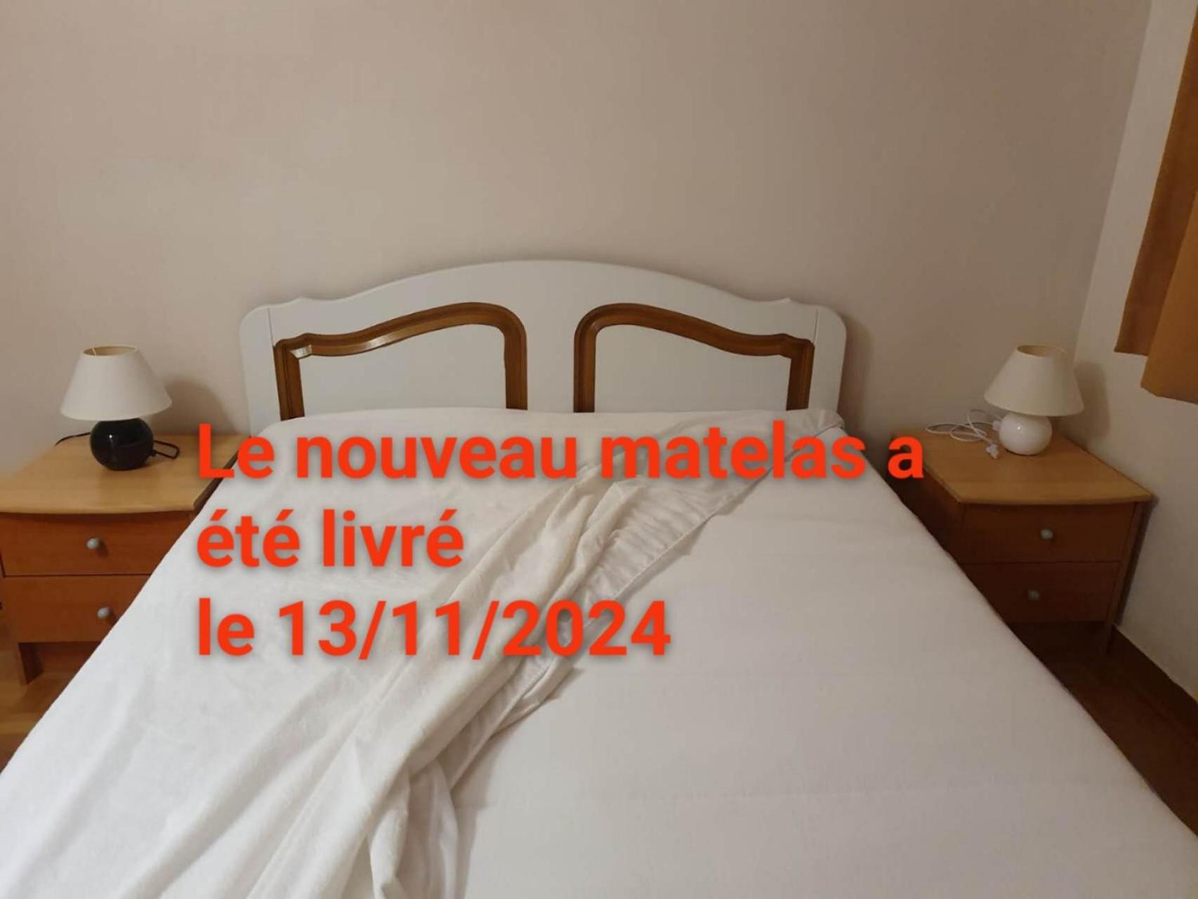 Appartement Medipole T2 Avec Un Garage Gratuit Sur Place, 16min A Centre Lyon En Metro A